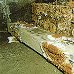  Informationen zu Hausschwamm